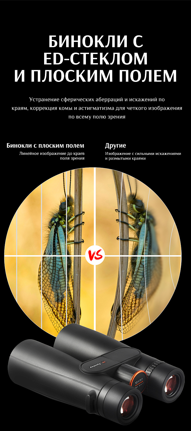 Бинокль Eyeskey Sport ED-12x50